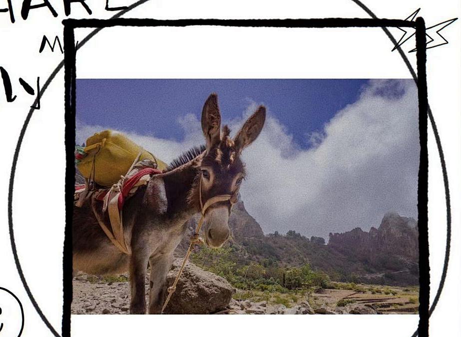 你身体里的发动机不给力了，怎么办？