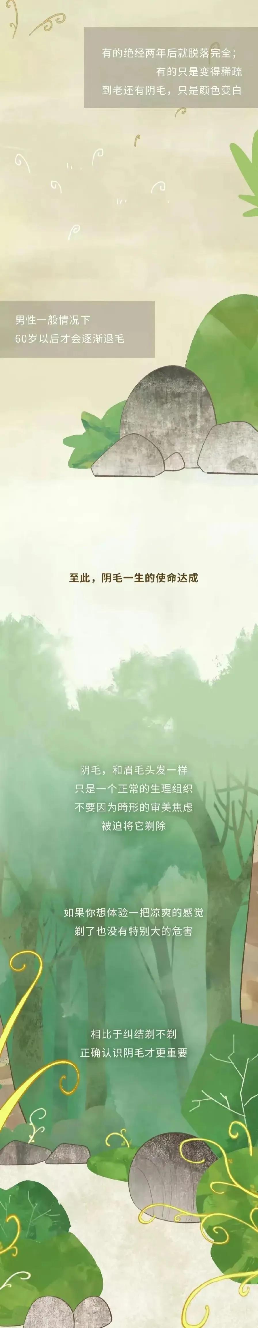 人类阴毛从出生到脱落的全过程