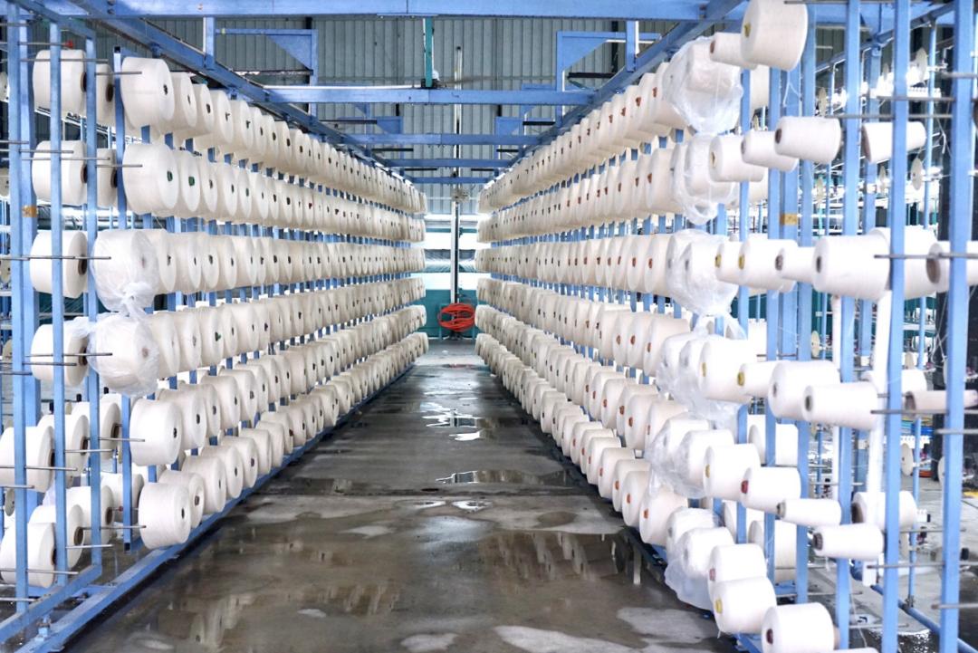 鐧藉皬t鎶撲綇鏃朵唬鑴夋悘鎴愪负鍥借揣涔嬪厜,鐧藉皬t娓呬粨