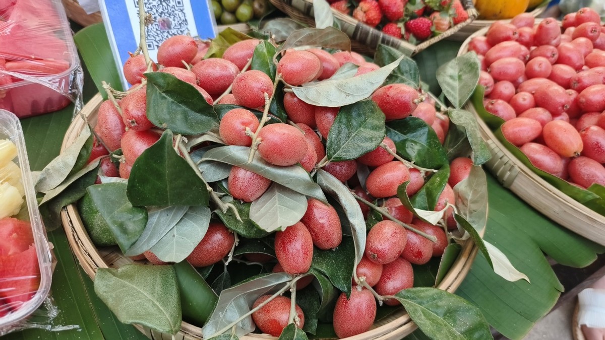 弥勒至西双版纳自驾游攻略,云南到西双版纳自驾游攻略