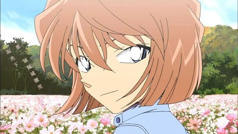 柯哀和新兰哪个人气高,柯哀新兰cp人气排名