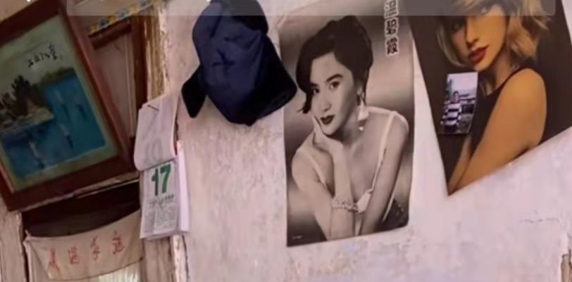 张同学与李子柒视频拍摄对比,李子柒张同学为什么会红