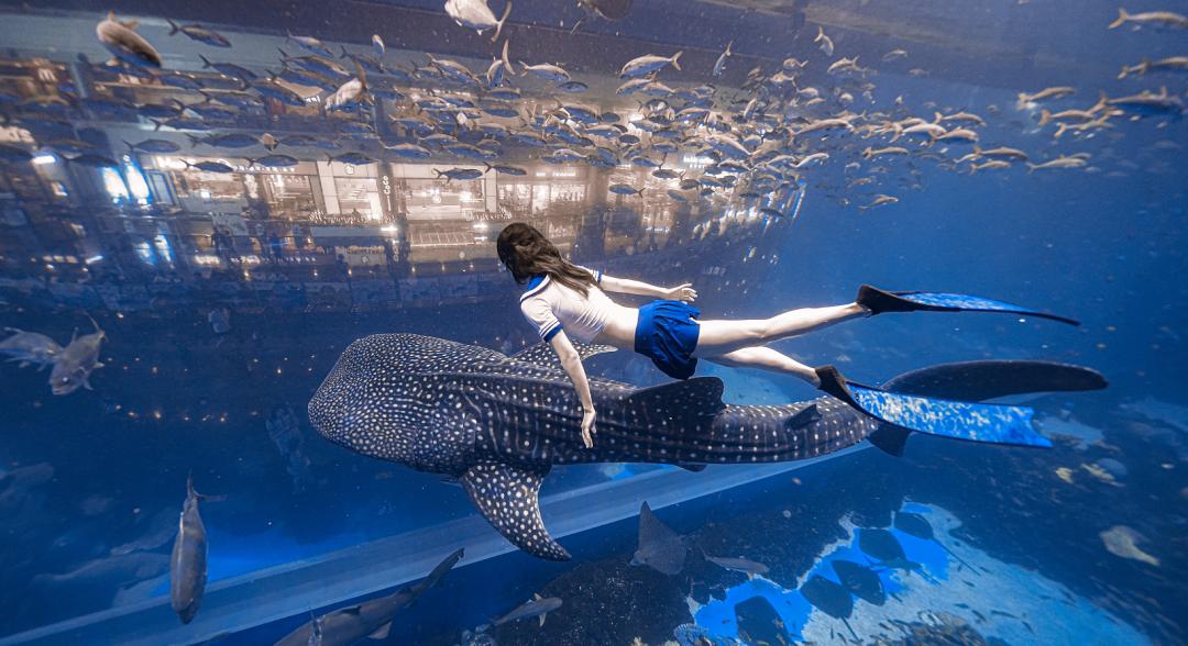 成都运动设施最全的地方,成都综合性运动馆