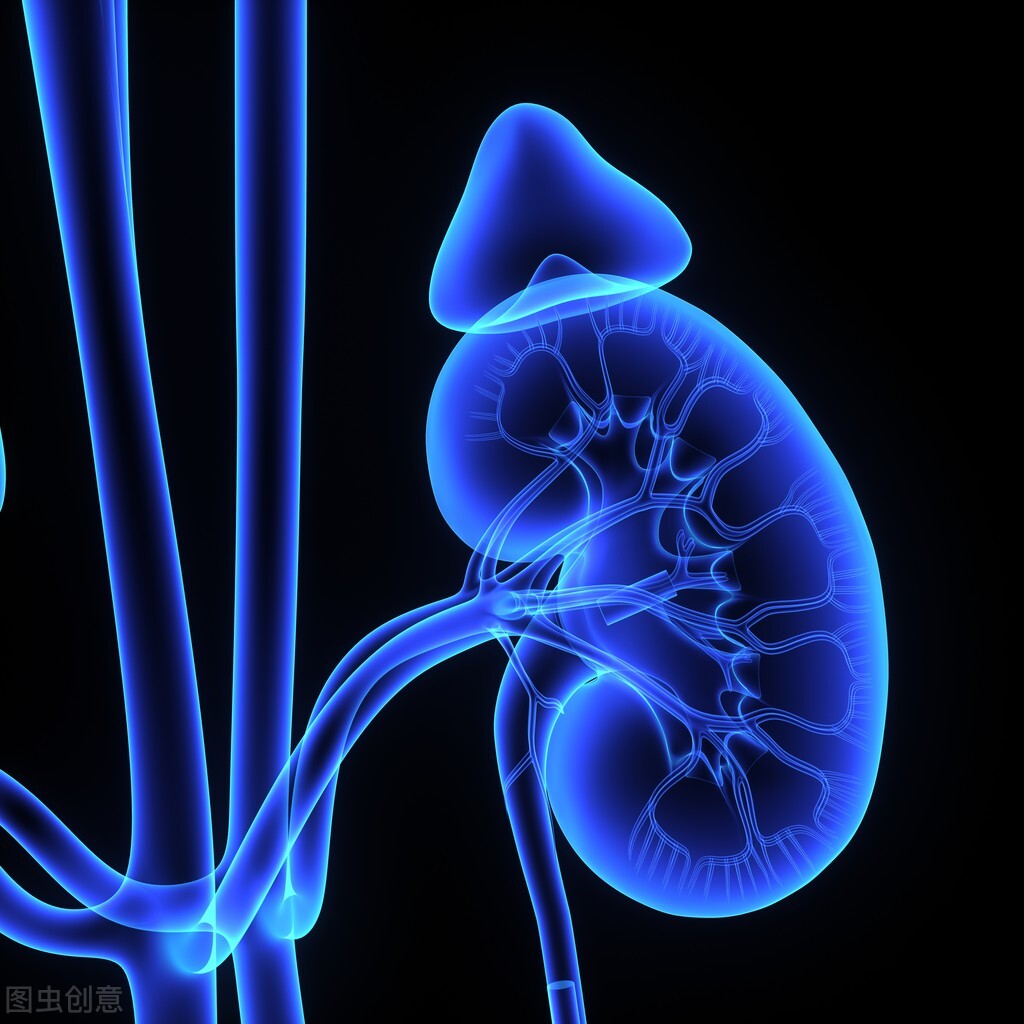 肾衰吃百令片没有用,肾衰宁和百令片可以长期吃吗