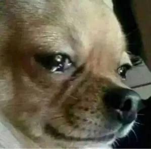 牙疼打一针就好了,牙疼打止疼针能挺多久