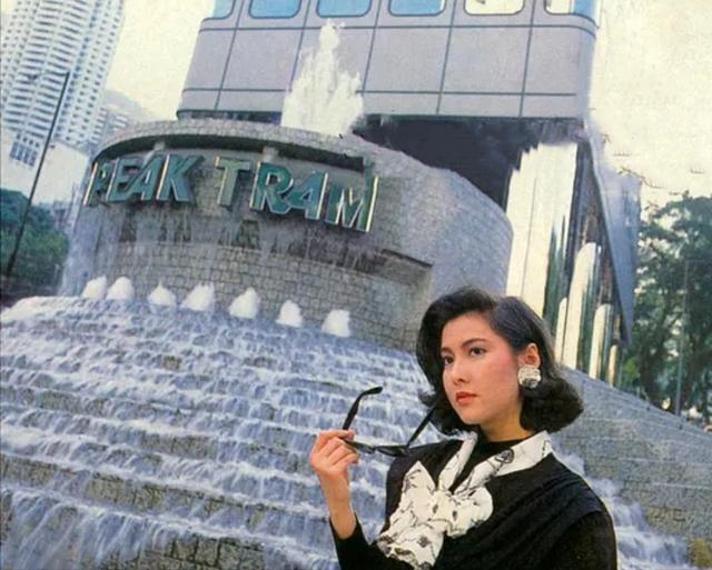 至尊36计梁家辉李婉华演的电影,经典港片刘德华与梁家辉