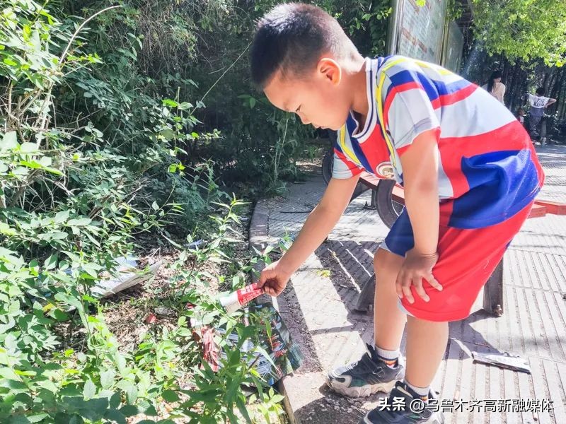 世界环境日低碳出行,世界环境日低碳环保