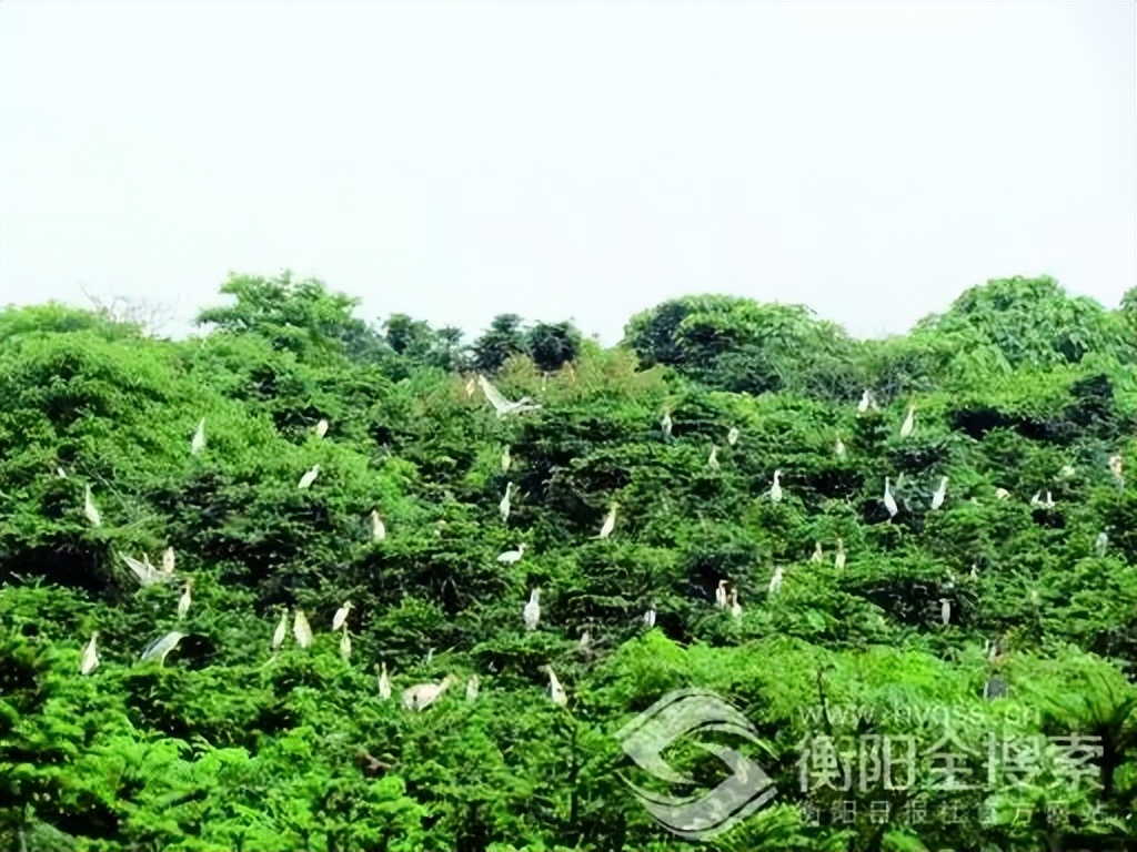 衡阳适合年轻人旅游的地方,衡阳适合年轻人玩的地方