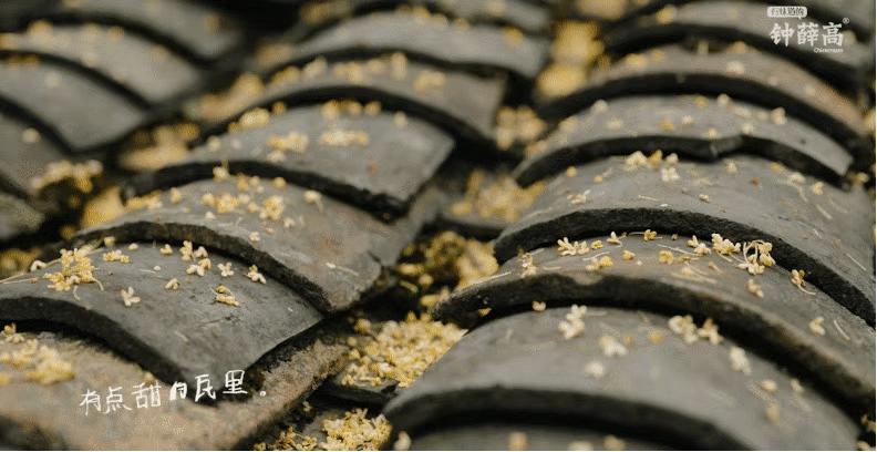 抖音正能量文案100句,近期收藏的高级无风格文案