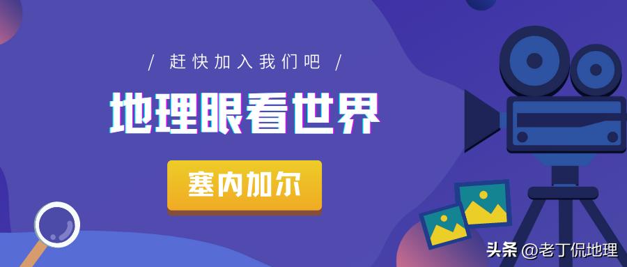 世界杯喀麦隆vs阿尔及利亚,塞内加尔世界杯之路