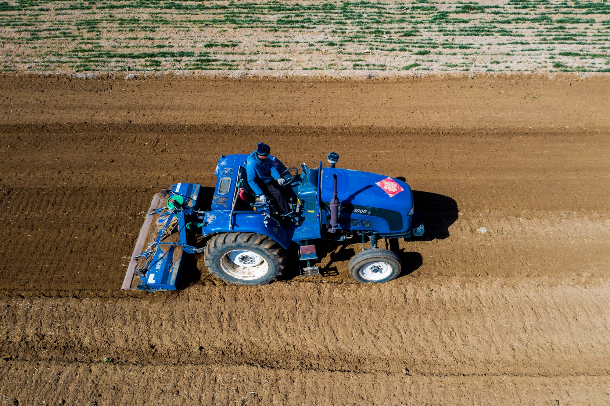 “云”上摄影展丨《徐村*光春**美人勤春来早》