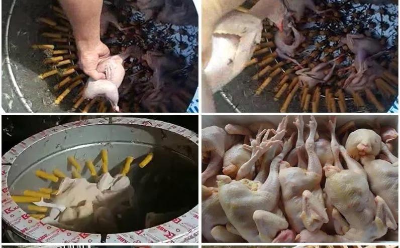 让别人占便宜,让别人占便宜却赚钱的项目