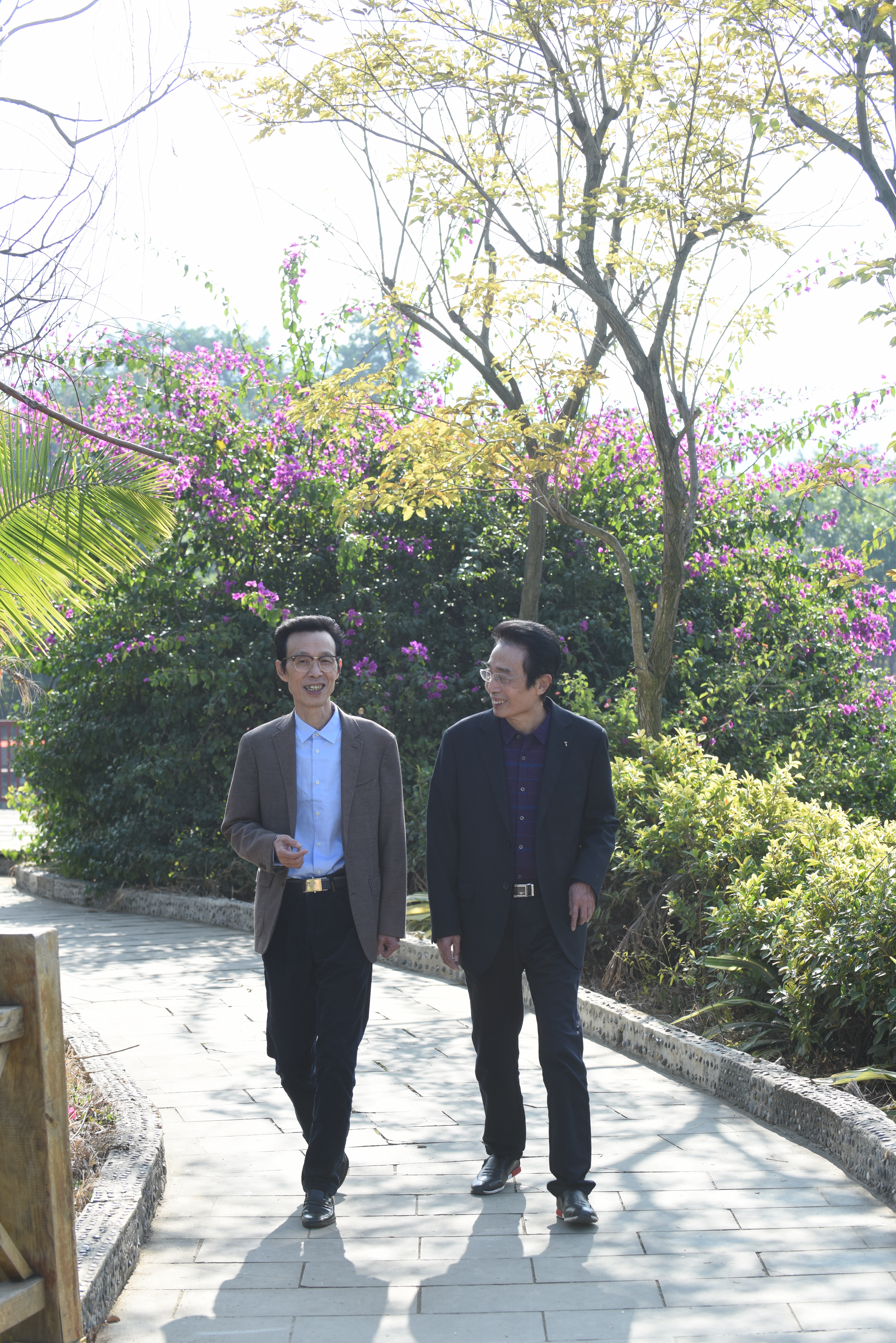 老骥伏枥志在千里百科,老骥伏枥志在千里节目