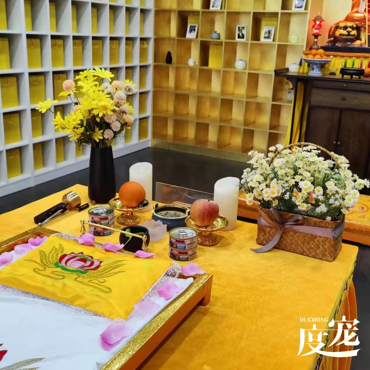 我为什么会选择宠物殡葬行业,宠物殡葬行业真实现状