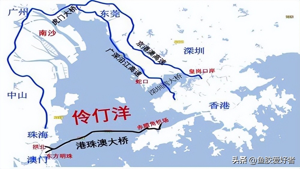 鱼胶主要是哪个国家,鱼胶产地在什么地方产的最好