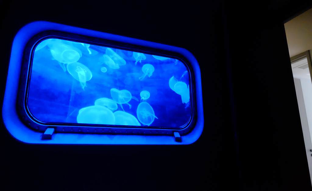 极米投影新品效果,极米中高端投影什么时候上新