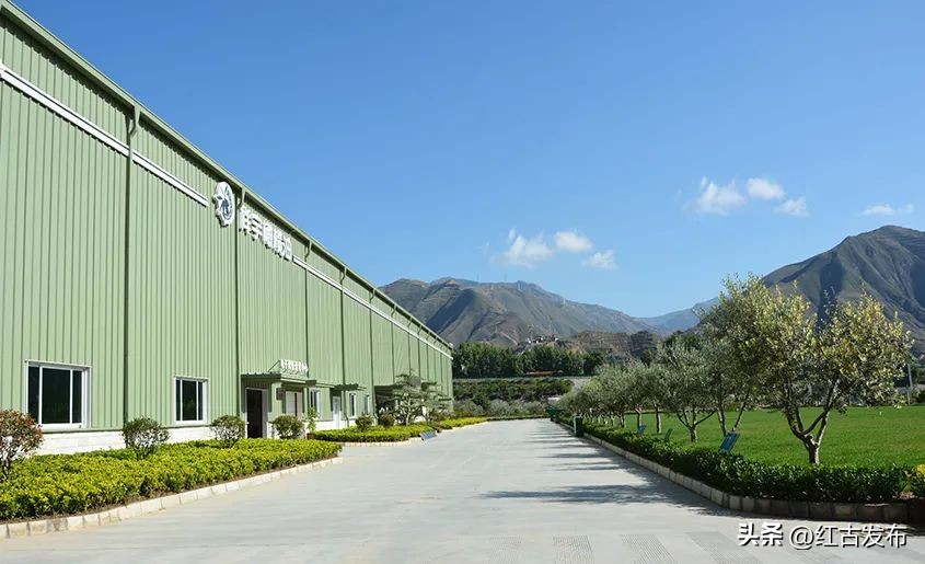 乡村振兴2023年最新热点,2023年乡村振兴必背知识点