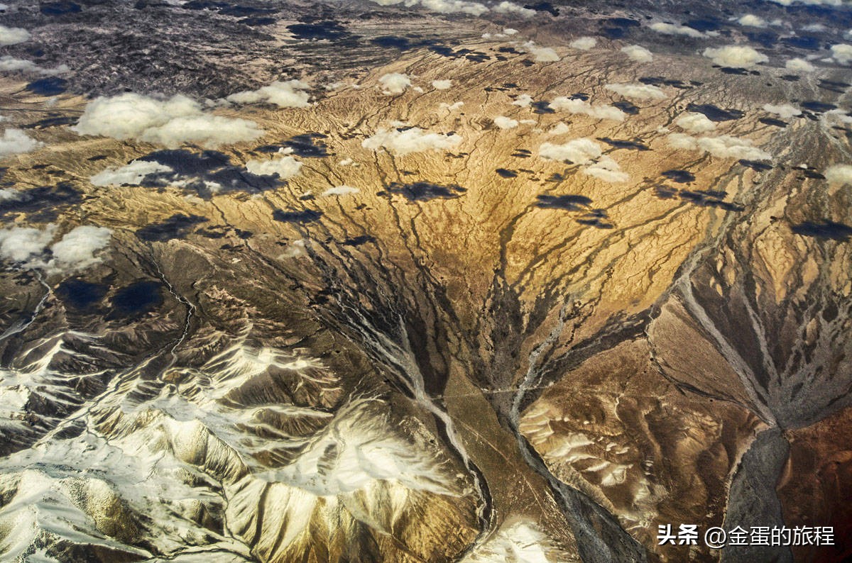 长江出海口的上海，被自然力量所艺术创造，也有一棵“大地之树”