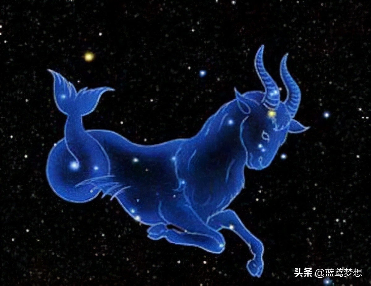 摩羯座和十二星座的恋爱关系,十二星座摩羯座什么时候恋爱