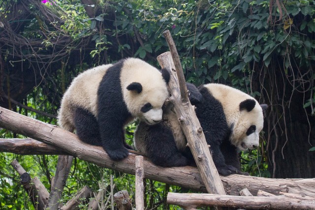 暑假带娃不知道去哪里玩,暑假不知带孩子去哪里