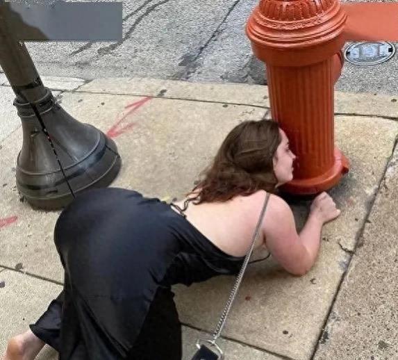 北大学生包丽案件结果,北大包丽虐待案