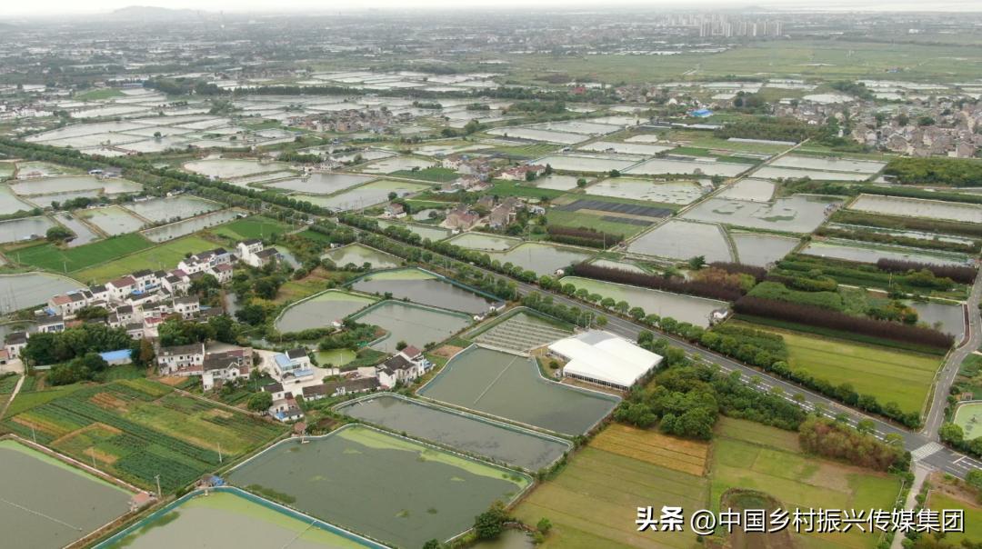 乡村振兴扶持项目在哪里申报,2023年乡村振兴项目补贴申报指南