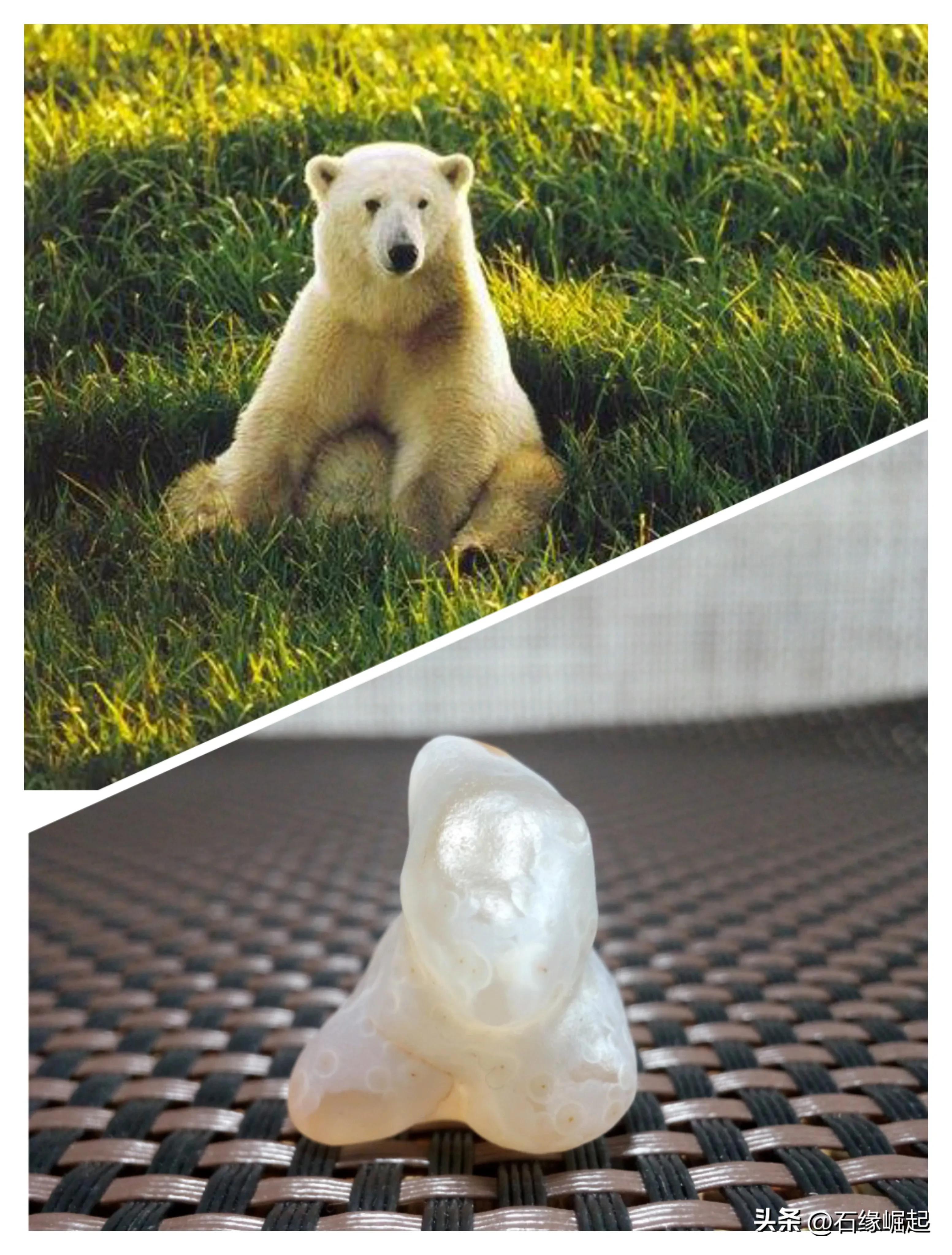 石头的趣味生活,石头玩出高级感