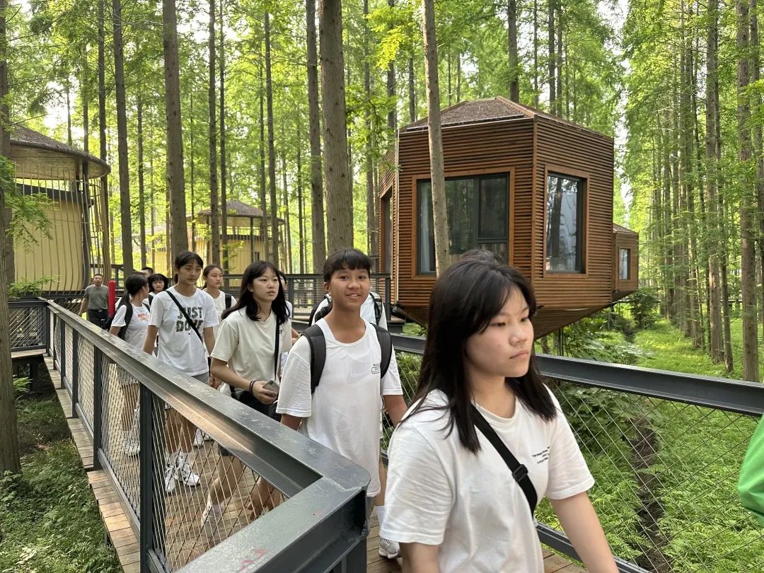 今天，台湾同胞一行23人来东台黄海森林公园