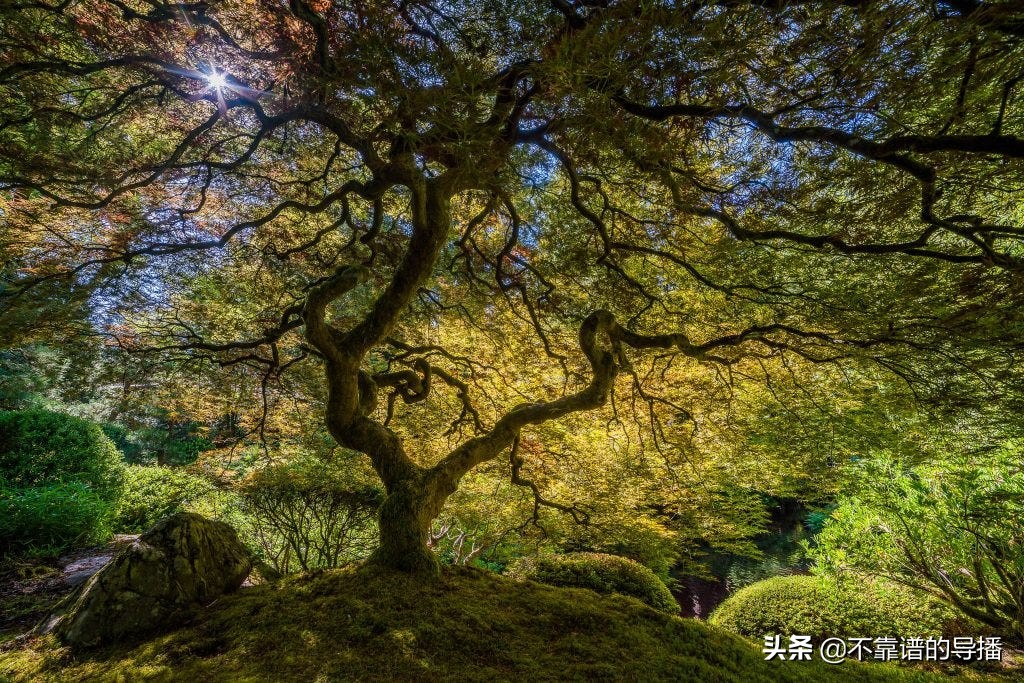 HDR摄影百科,摄影hdr是什么意思