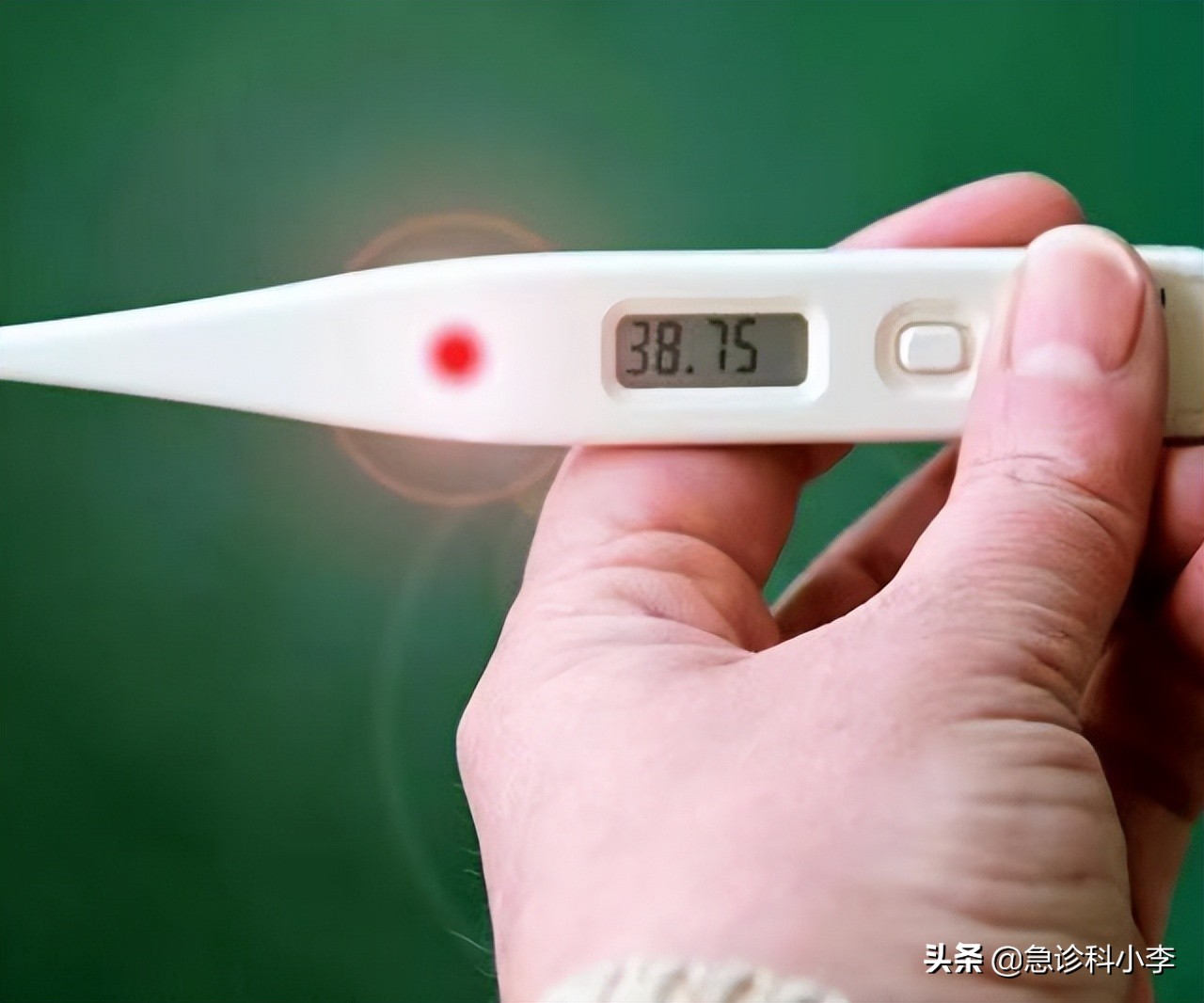 夺命蜱虫咬了是什么样子,夺命蜱虫一家三口被咬两人丧命