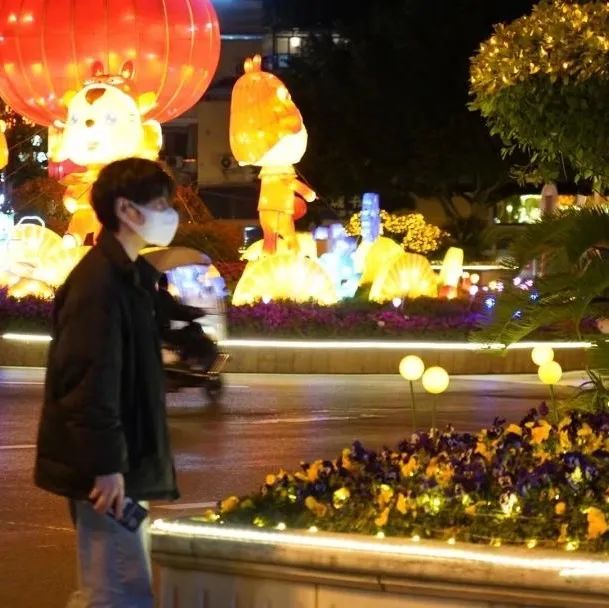 背景图ins风鲜花,ins复古黑色鲜花壁纸