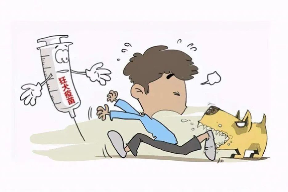 仓鼠咬了过了24小时还能打疫苗吗,被兔子和仓鼠咬伤需要打疫苗吗