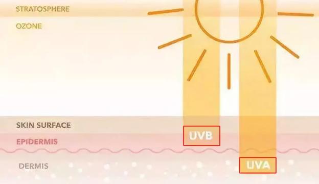 防衰老的防晒剂 (澳洲伊肤姿防晒)