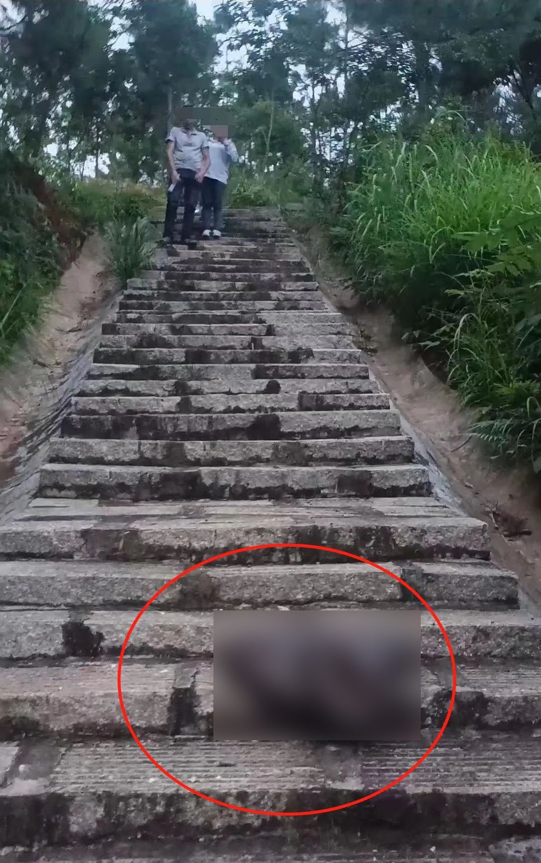 蛇为什么在一个地方不走,蛇为什么靠边走