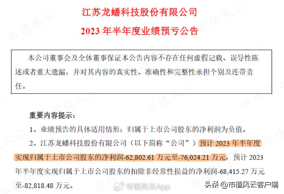 龙蟠科技生产的磷酸铁锂供应给谁,磷酸锰铁锂龙蟠科技