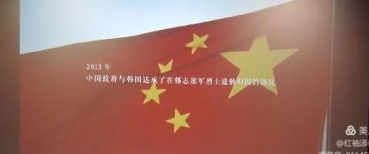 1950他们正年轻纪录片解说,纪录片1950年他们正年轻全集