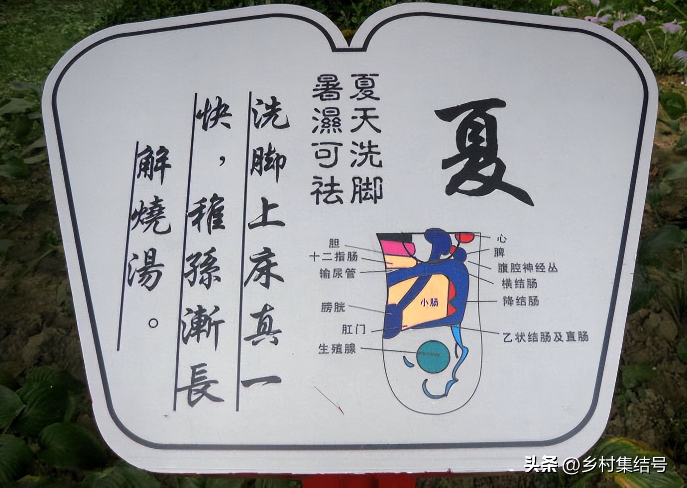 地坛中医药养生文化园南入口,地坛中医药养生文化园是什么