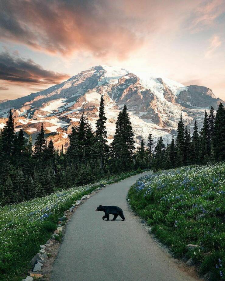 78个真实有趣的照片：山顶的足球场，老树与佛像，老司机脸部皮肤