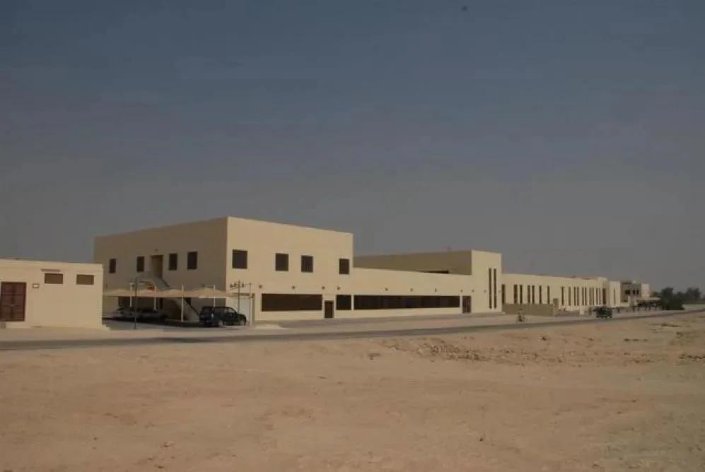 除了办世界杯卡塔尔的“钞能力”还让这种鹦鹉绝地重生