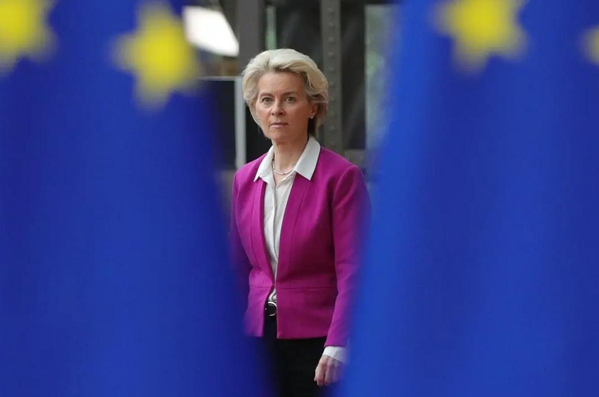 煮熟的鸭子飞了新闻,煮熟的鸭子飞了视频