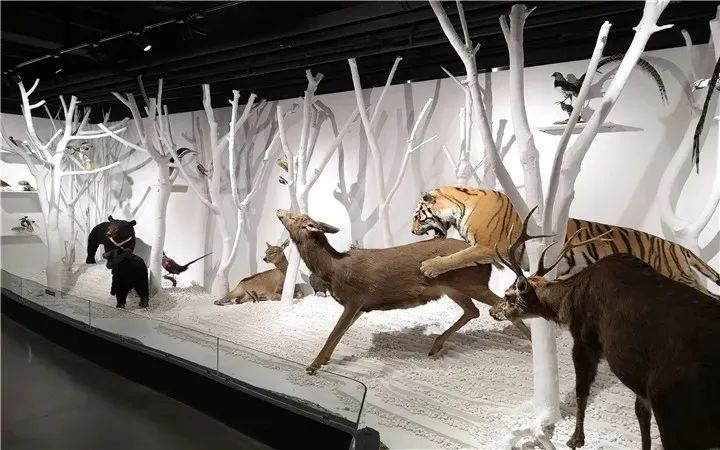 北京植物园的赏花的最好时节,西山秘境惊艳北京的植物