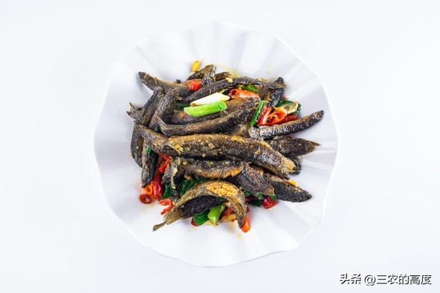 河鲜四大名鱼,最顶级的河鲜鱼