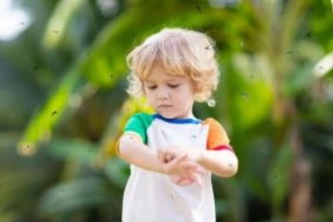 「明仔课堂」嗡嗡嗡~眼前怎么总有“蚊子”飞？