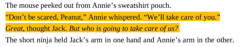 小小忍者丨神奇树屋5NightsOfTheNinjas