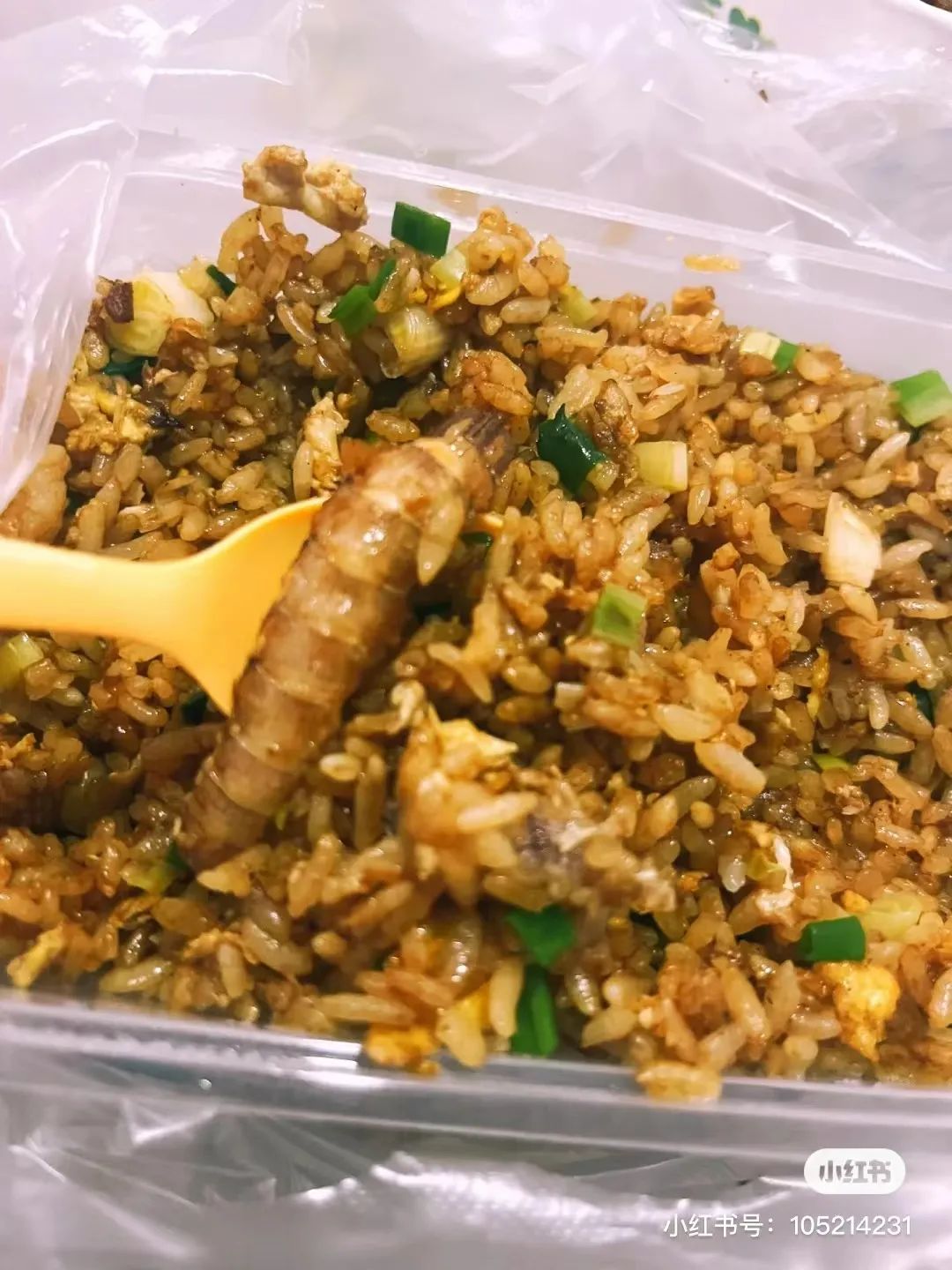 天津万新村天山夜市，这下彻底被刷屏了！