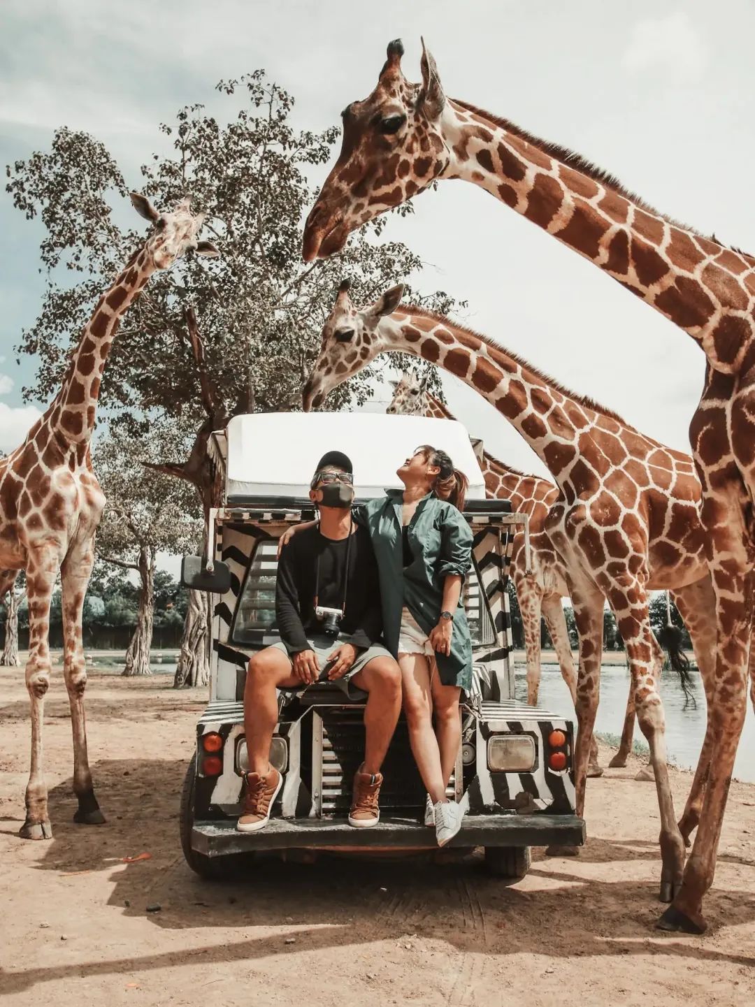 泰国曼谷旅游必去十大景区,泰国野生动物园亲子游