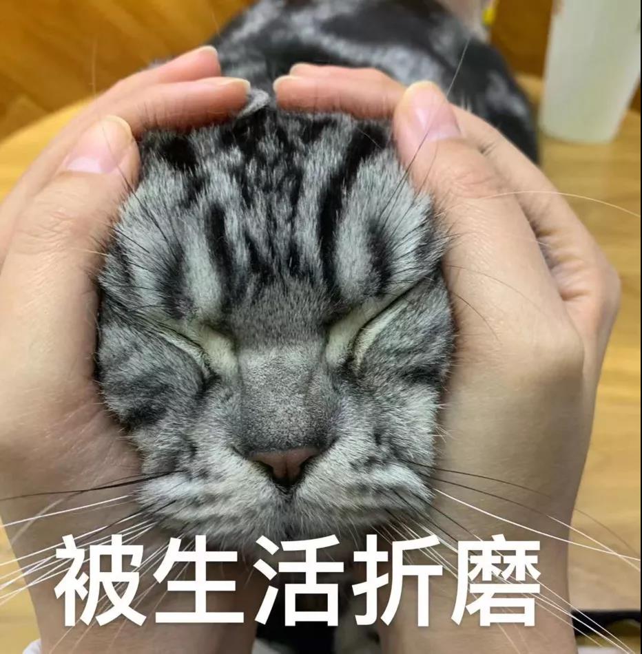 跨年增值税发票如何报销,跨年发票需要纳税调整吗