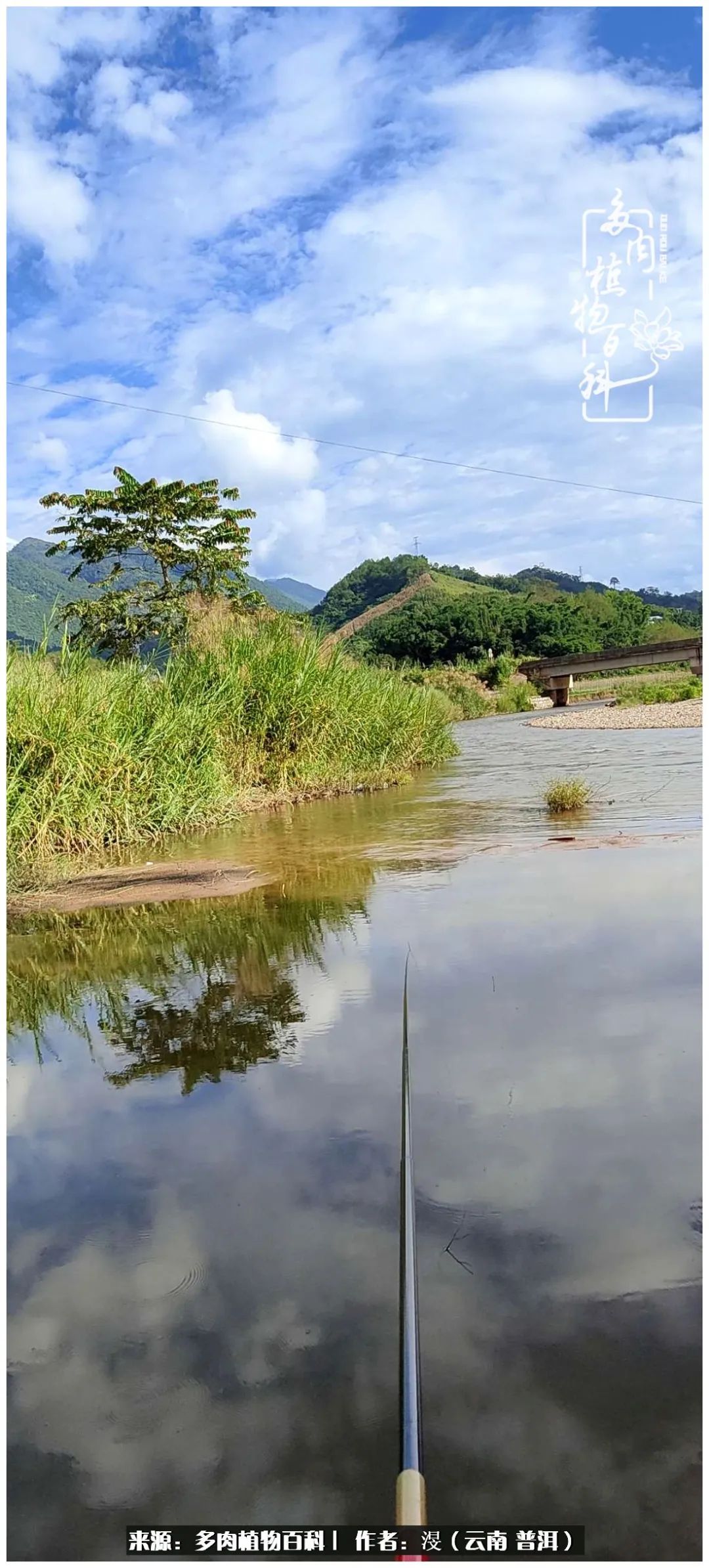 云南的冬天没有云！养肉七年，不谈得失，只论陪伴！