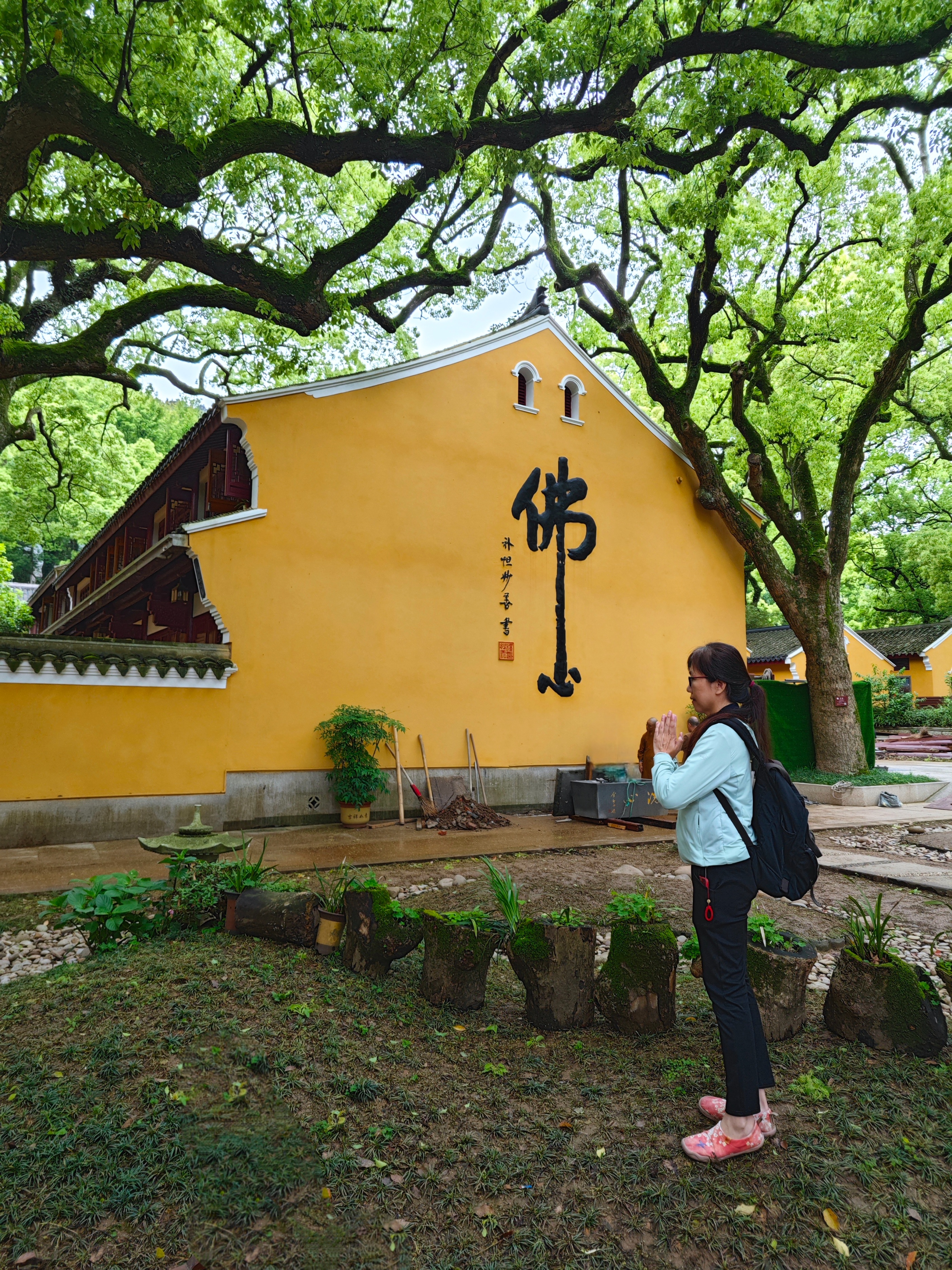 普陀山朝拜二日行,普陀山祈福三日游