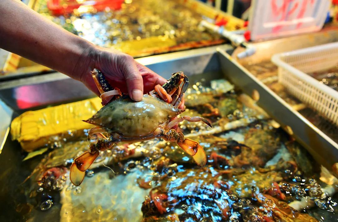 阳+34例！重磅好消息：开海，大波生猛海鲜来袭！天津人有多会吃